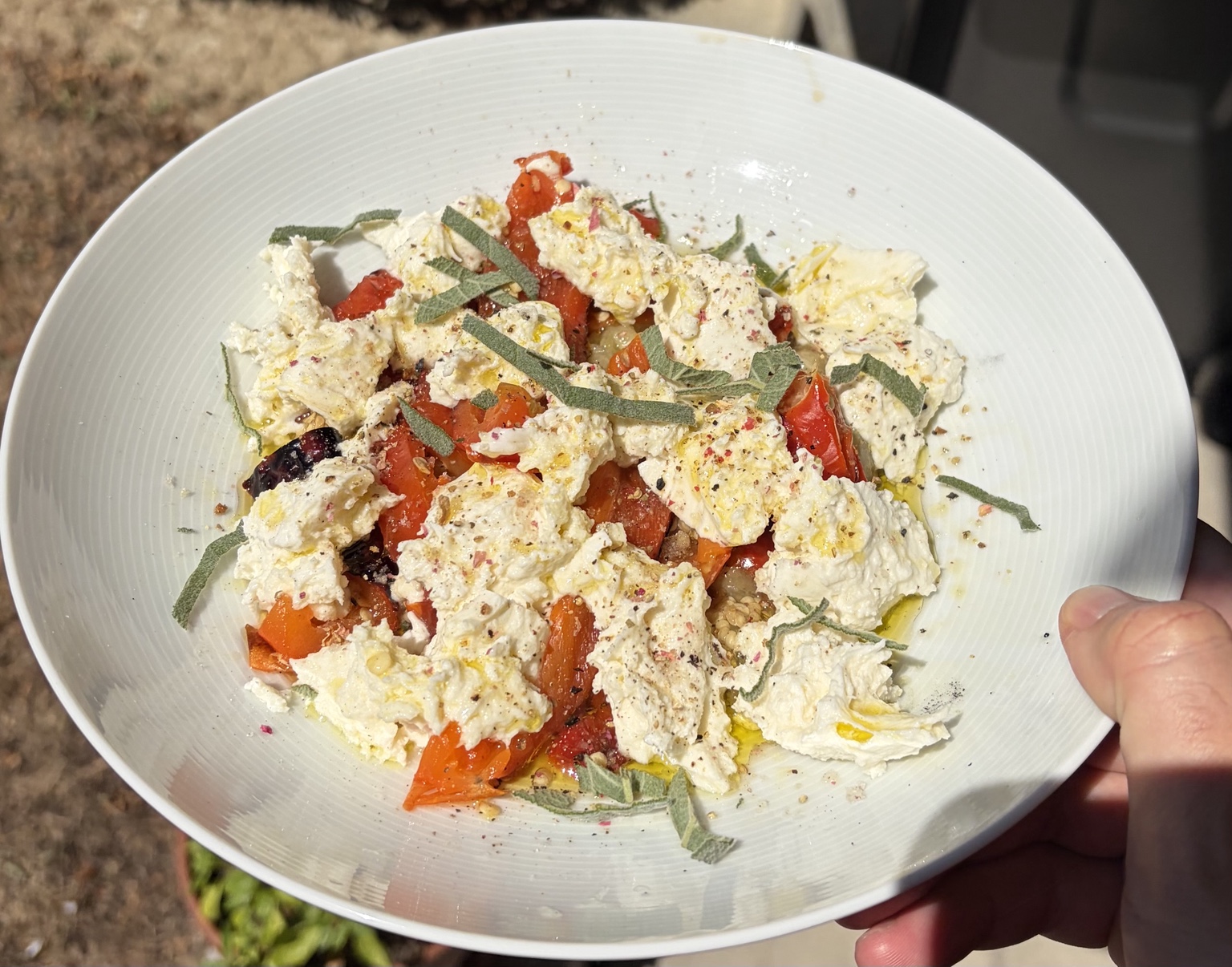 A sunlit plate of vegetables, white cheese and herbs, held outdoors